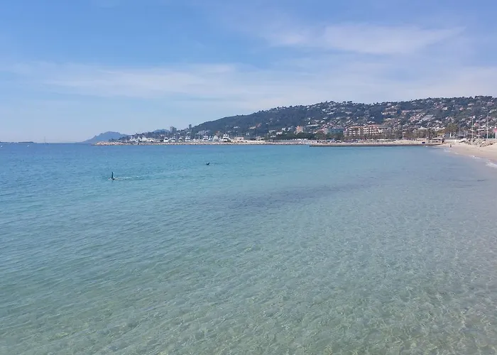 Les Pins Bleus